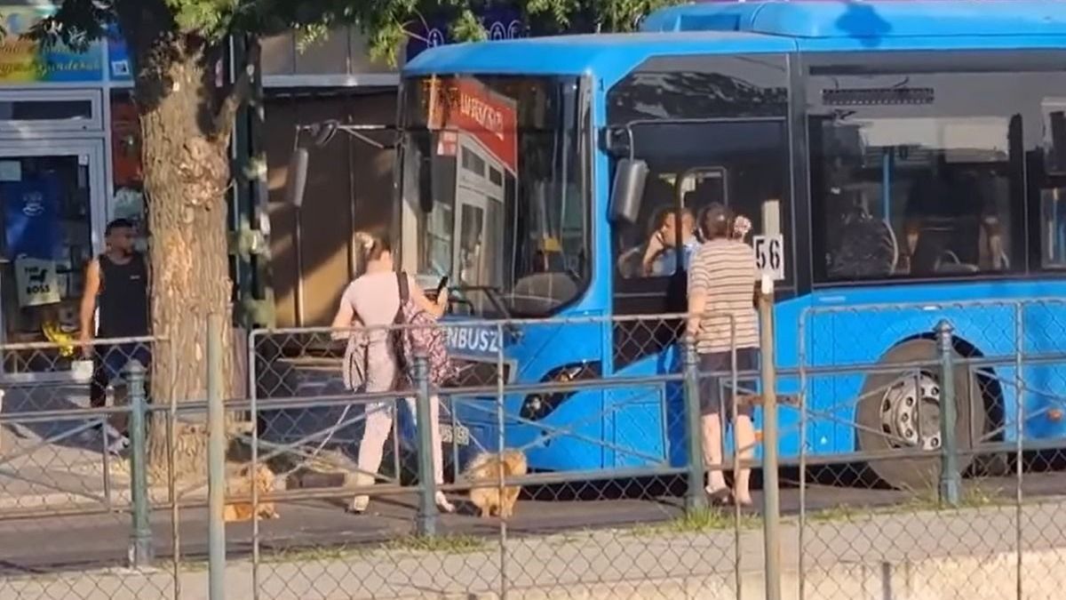 Teljesen bekattant: ököllel esett neki egy férfi egy busznak Csepelen, a sofőr volt a célpont - videó!