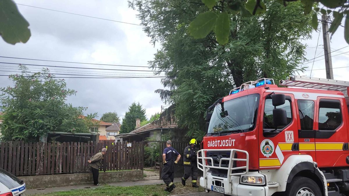 Női holttestet találtak egy bokorban Budapesten