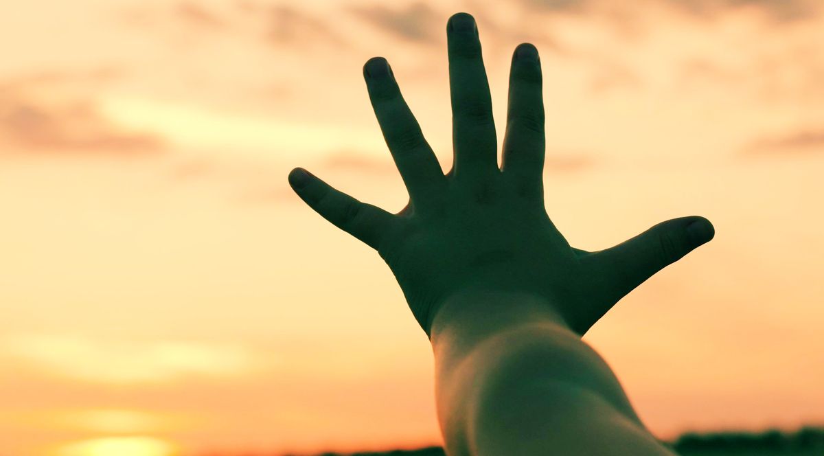 kéz, gyerek keze, kézfej, Shutterstock 2249807935