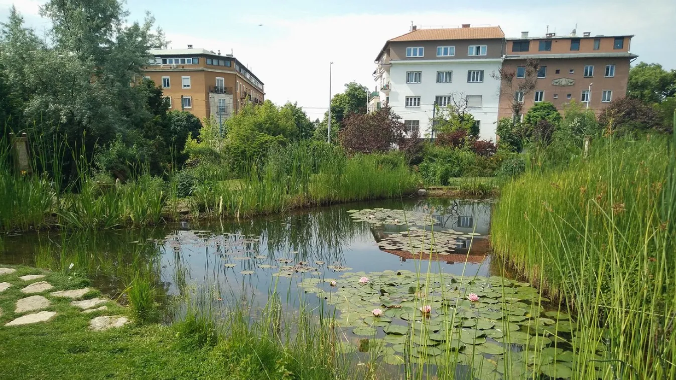 Itt hűsöljetek a városban! Ingyen látogatható ez a budapesti arborétum