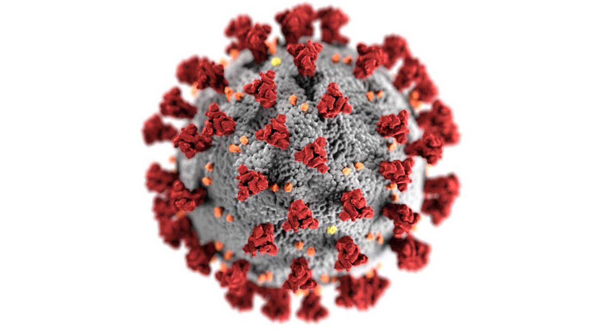 Figyelmeztetést adtak ki: jön az újabb világjárvány, ami a koronavírusnál is halálosabb