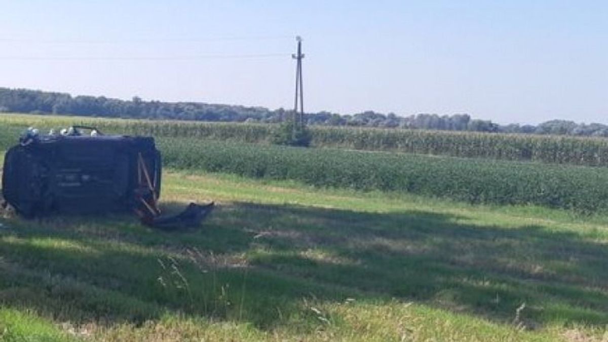 Halálos közlekedési baleset Vas vármegyében, meghalt a sofőr