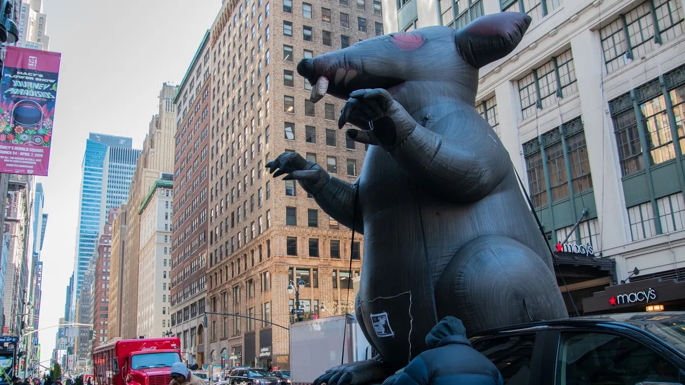 Özönlenek a turisták New York népszerű, ingyenes patkányleső túráira