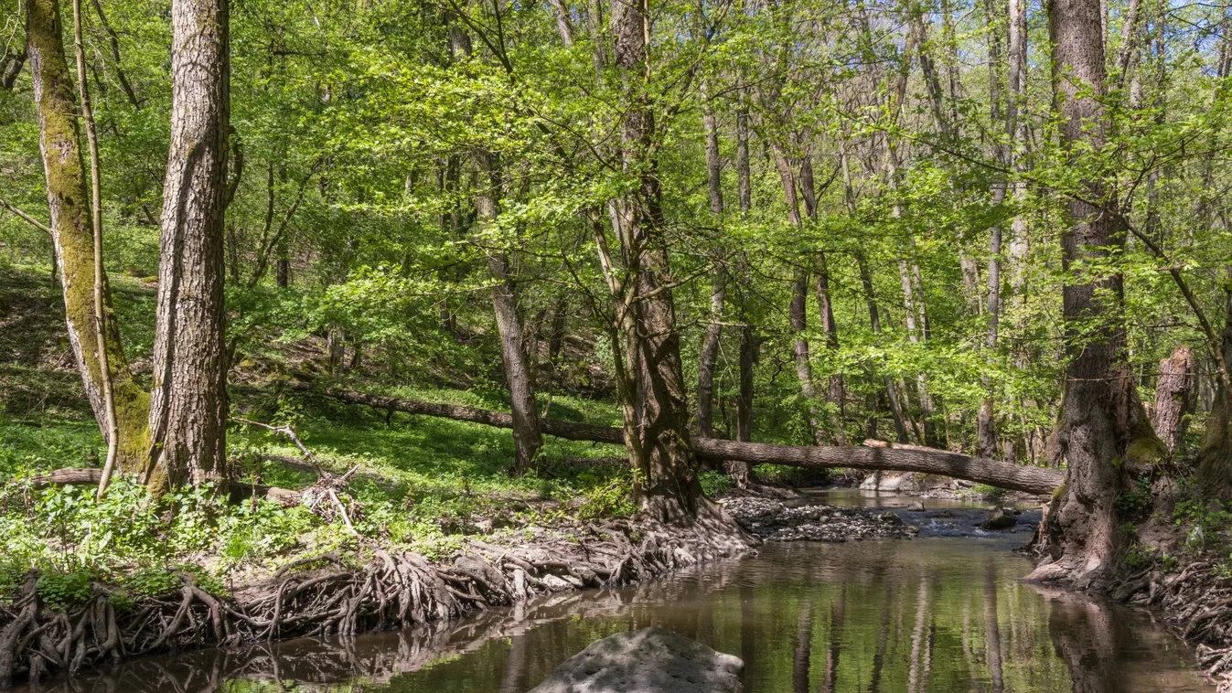 Súlyos környezetkárosítás történt Nógrádban
