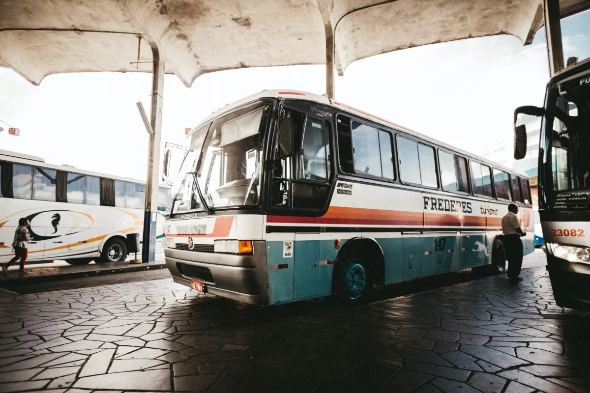 busz