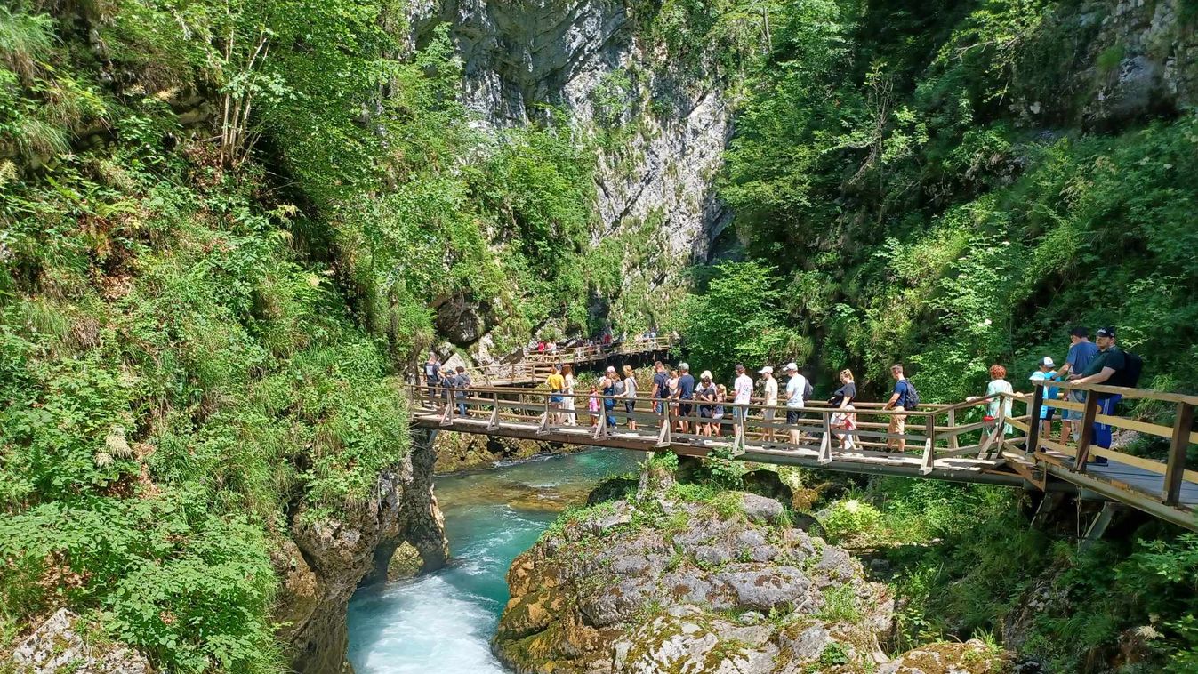 https://cdn.borsonline.hu/2023/08/VLuLR3-MaYZgU_BhIrUWvh8CSmhn3GPaiMWXyRG8KM4/fill/1347/758/no/1/aHR0cHM6Ly9jbXNjZG4uYXBwLmNvbnRlbnQucHJpdmF0ZS9jb250ZW50L2U2NWVmNjdjYzhmODQ4YzZhNmM1YmM3N2ZlNzg2MTQ4.jpg