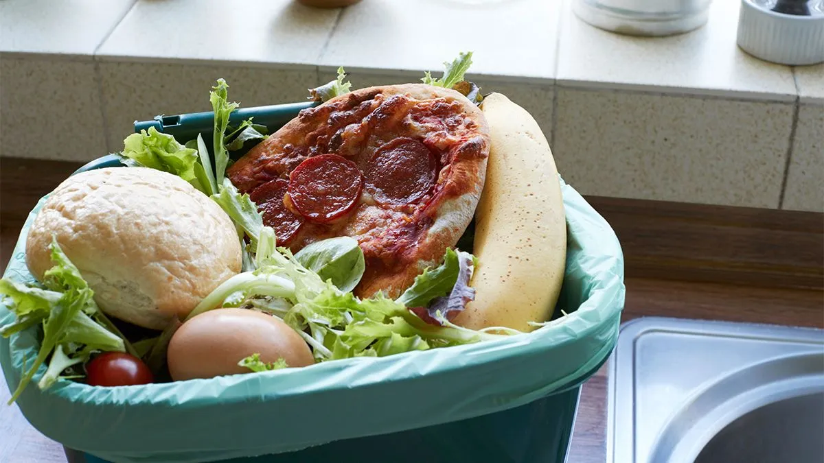 Fresh,Food,Waste,In,Recycling,Bin,At,Home