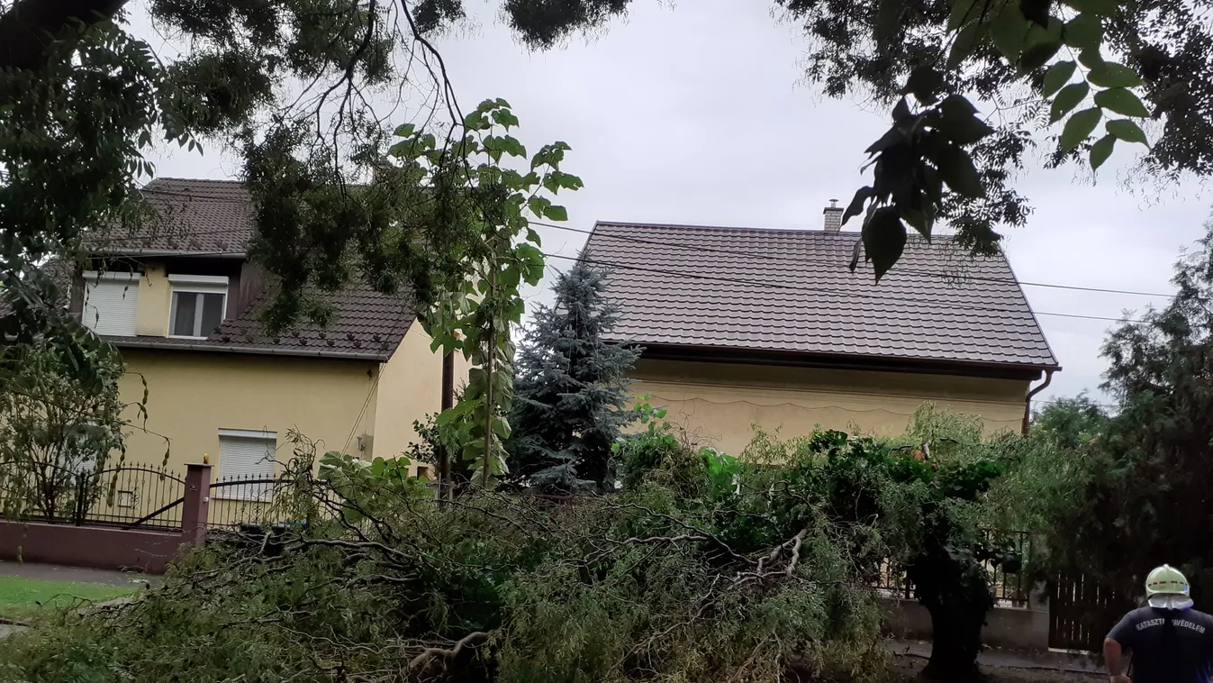 Futrinka utca, katasztrófasújtotta terület