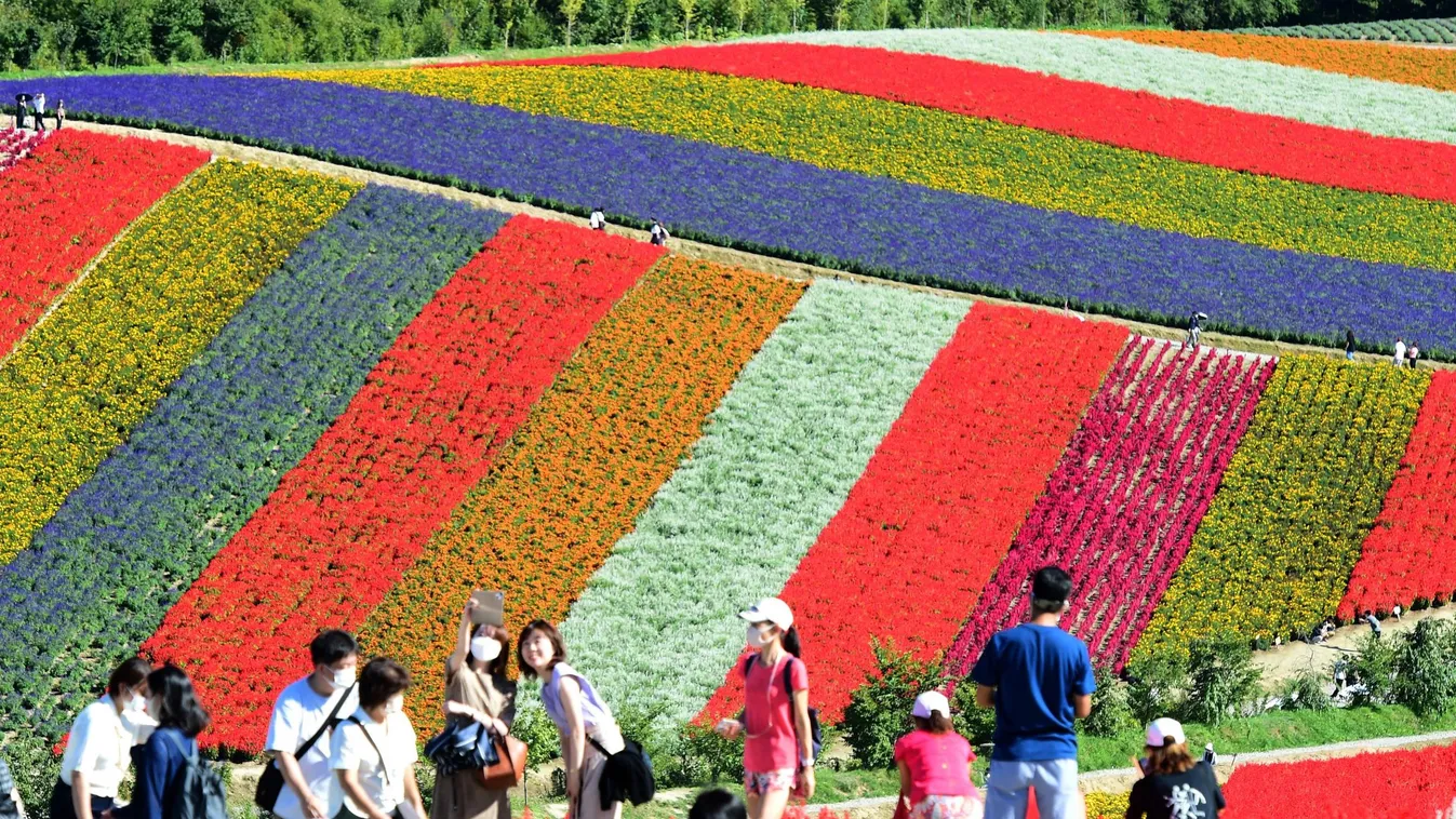 Japán legszínesebb városában mintha egy mesében járnánk