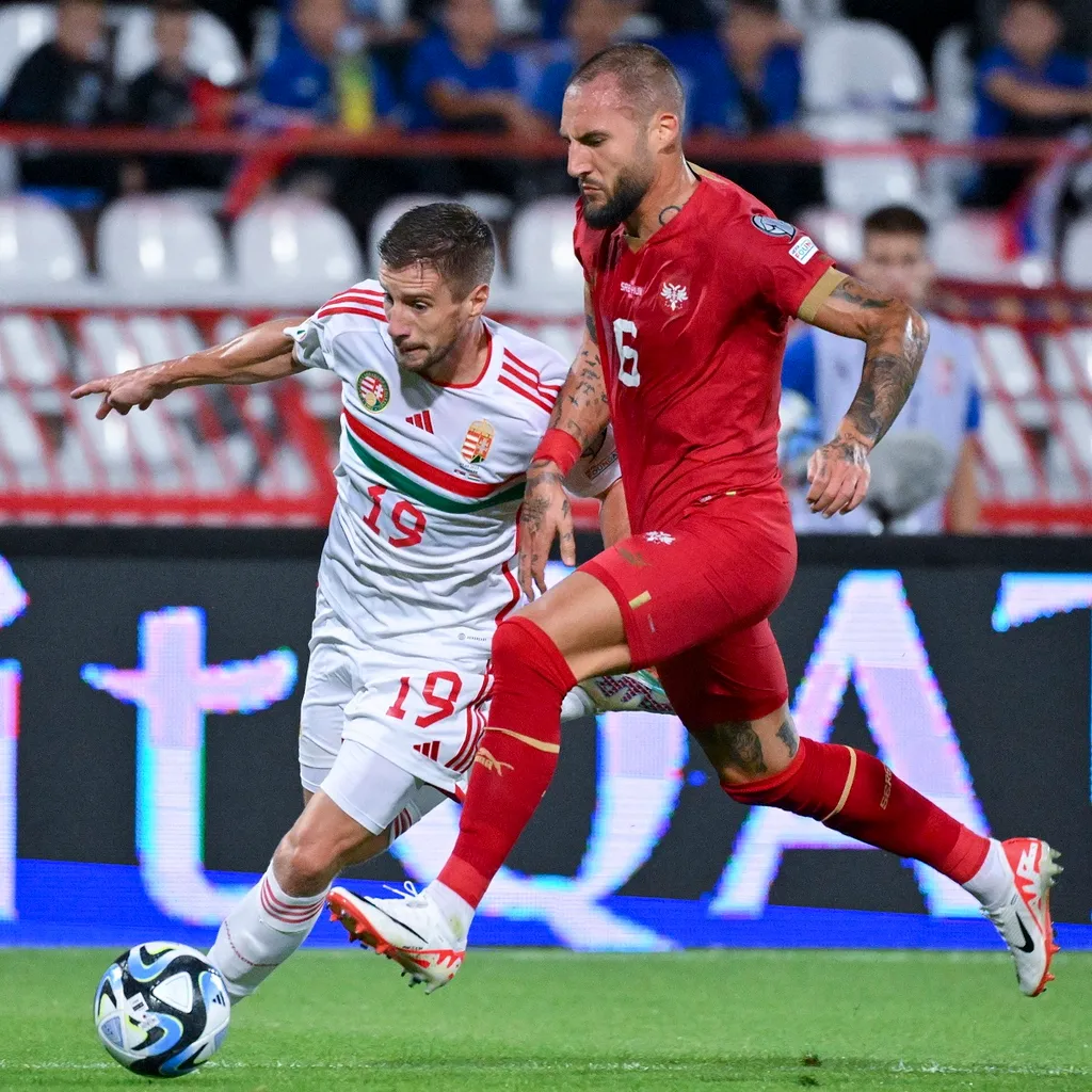 VARGA Barnabás; GUDELJ, Nemanja