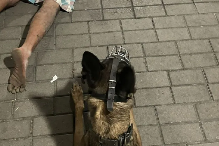 Dakota a rendőrkutya