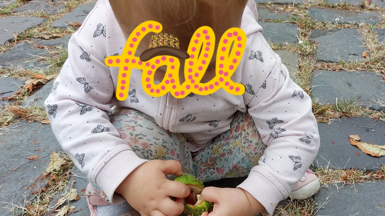 Így mész iskolába, ifjú hölgy????