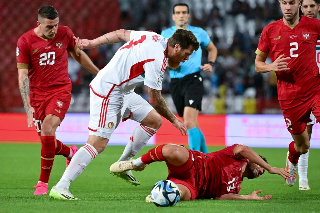 ÁDÁM Martin; VELJKOVIC, Milos