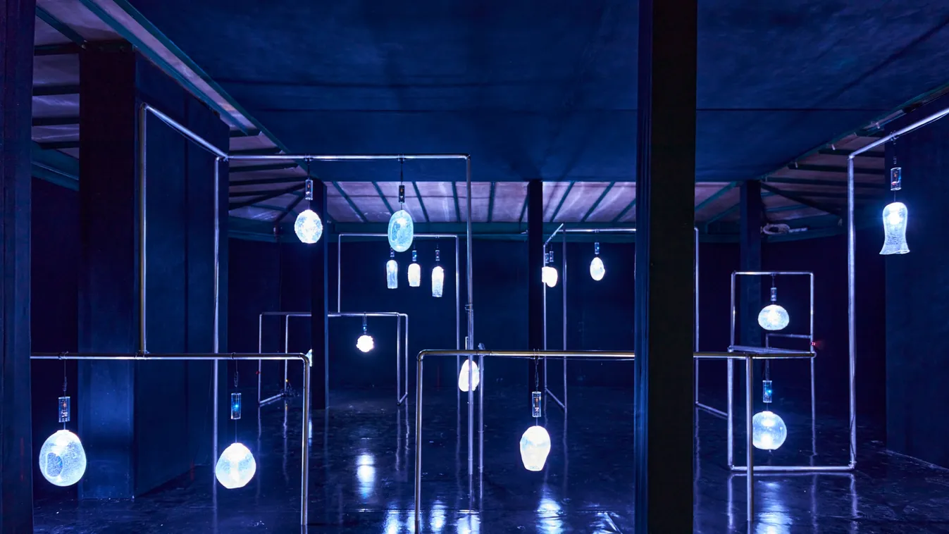 Hipnotikus fényjáték a piacon: Megnyílt a népszerű Light Art Múzeum új kiállítása
