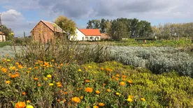 A Leány-völgy titka, a Fertő-táj látnivalóinak nyomában