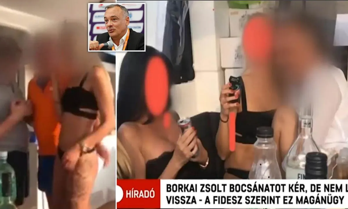 Borkai Zsolt ügy, Daily Mail