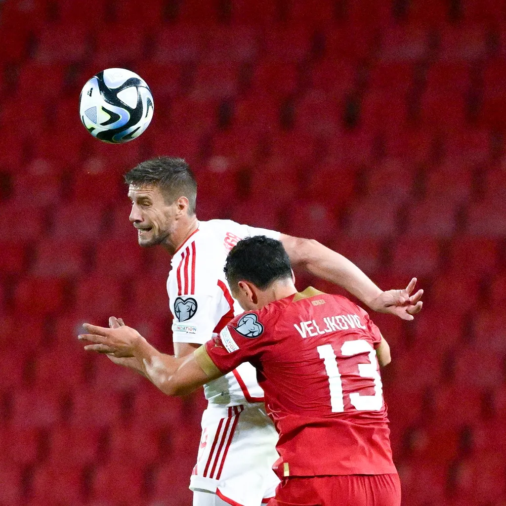 VARGA Barnabás; VELJKOVIC, Milos