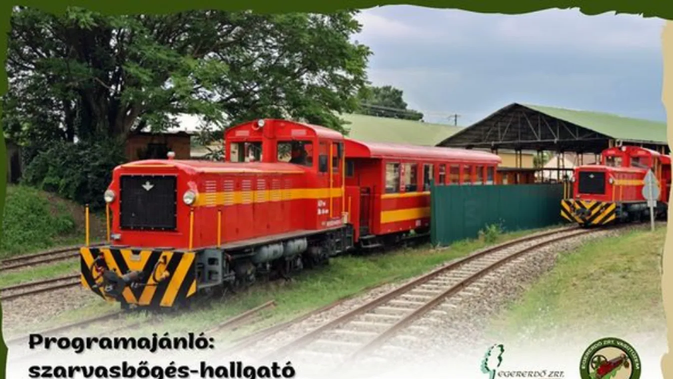 Különleges élmény vár arra, aki felpattan a Mátrai Szarvasbőgő Expresszre