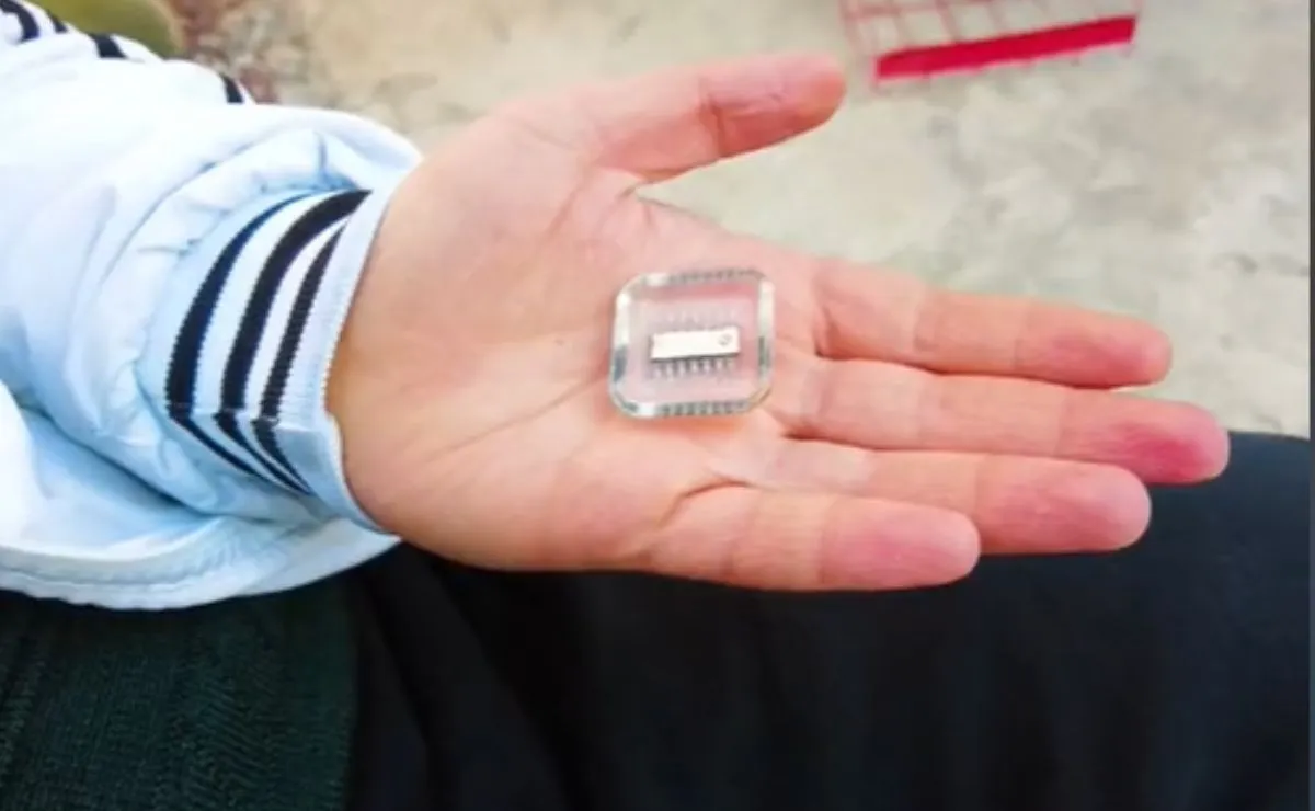 időutazó 2030-ból, ApexTV TikTok videógrab