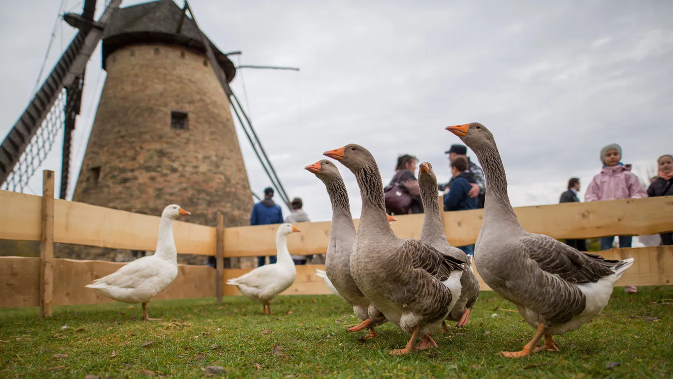Libatorra és újborfesztiválra vár mindenkit a Szentendrei Skanzen