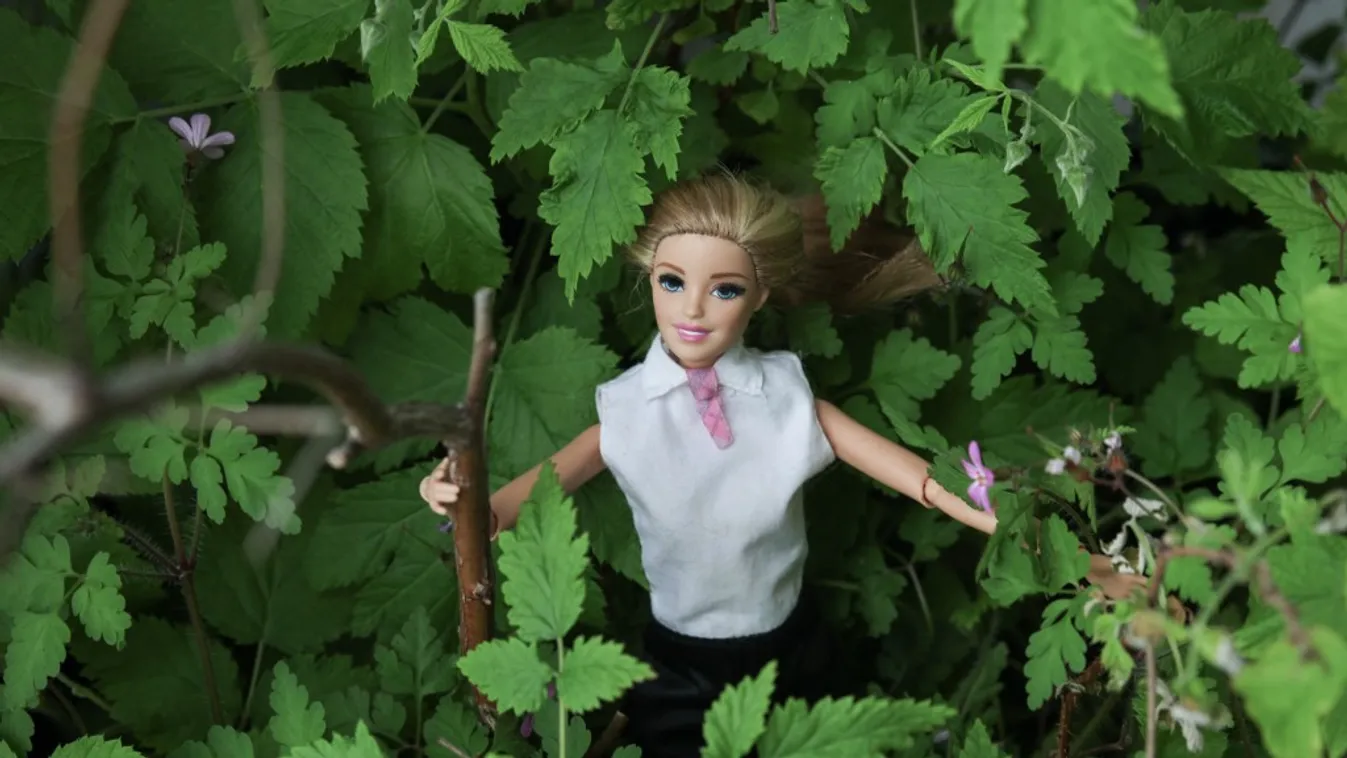 Hamarosan nagyszabású kiállítás ünnepli a Barbie 65. születésnapját