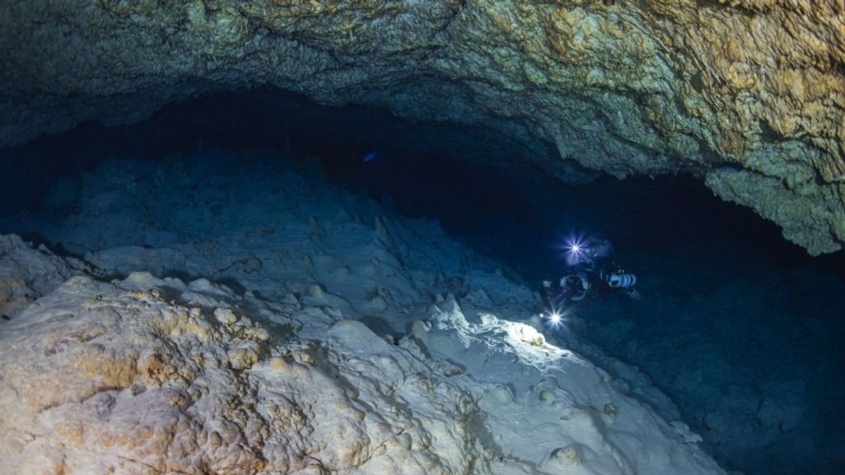 Elképesztő dolgot találtak egy vízalatti barlangban, 5 millió éve pihent ott háborítatlanul