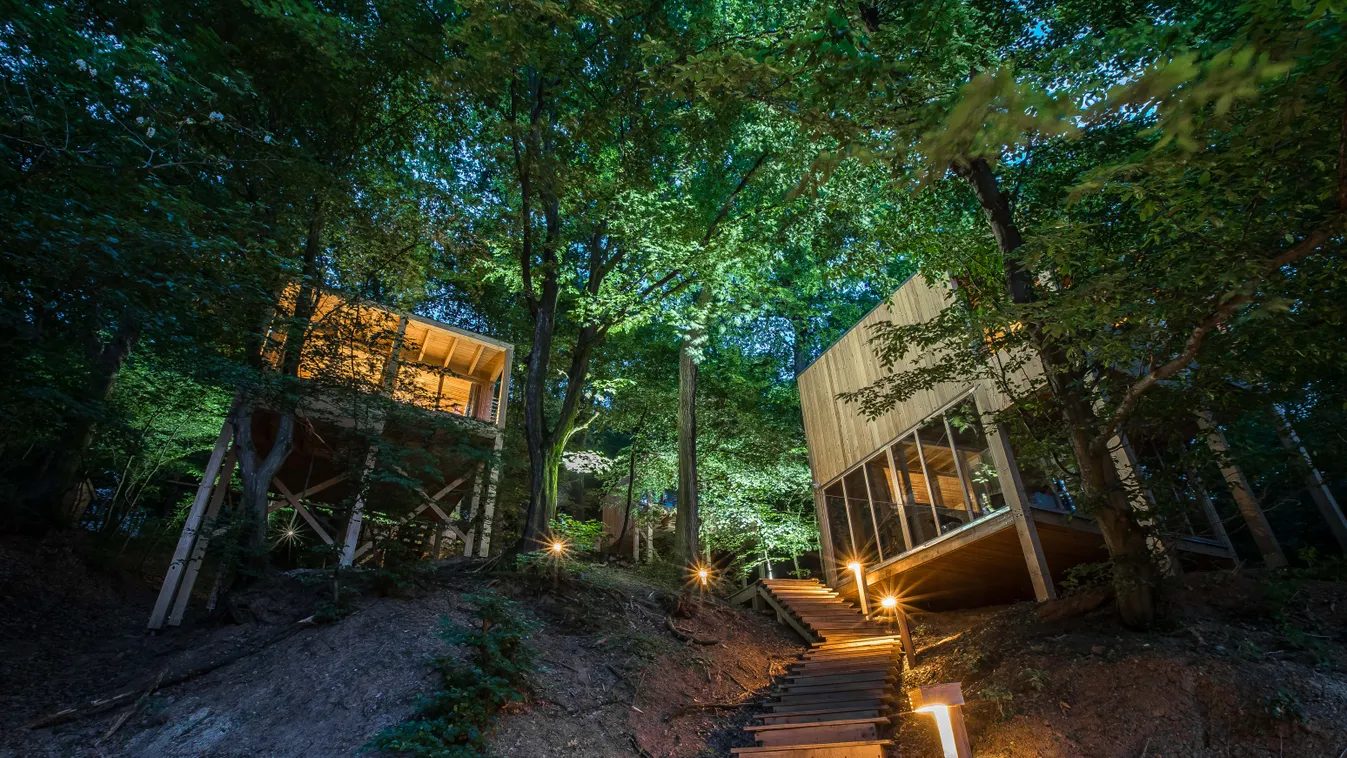 Egy őszi hétvége a Treehousesnál