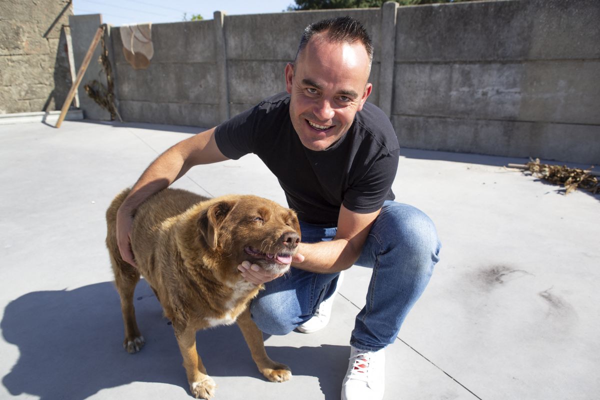 Bobi, a világ legidősebb kutyája, valamint gazdája, Leonel Costa AFP