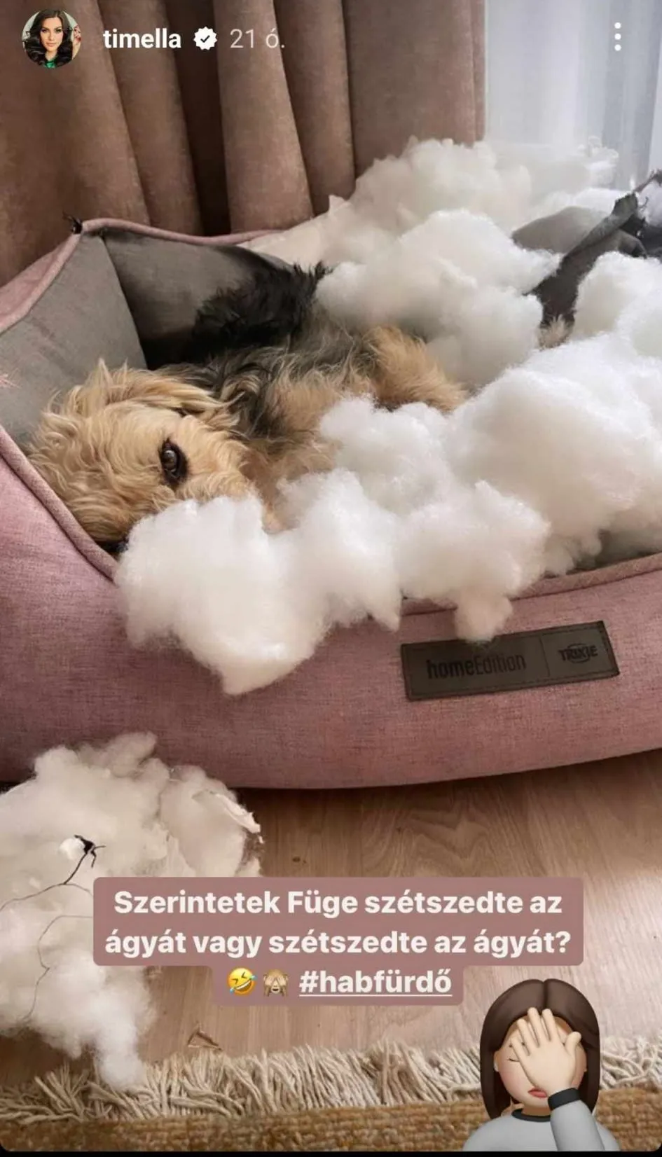 Gelencsér Timi