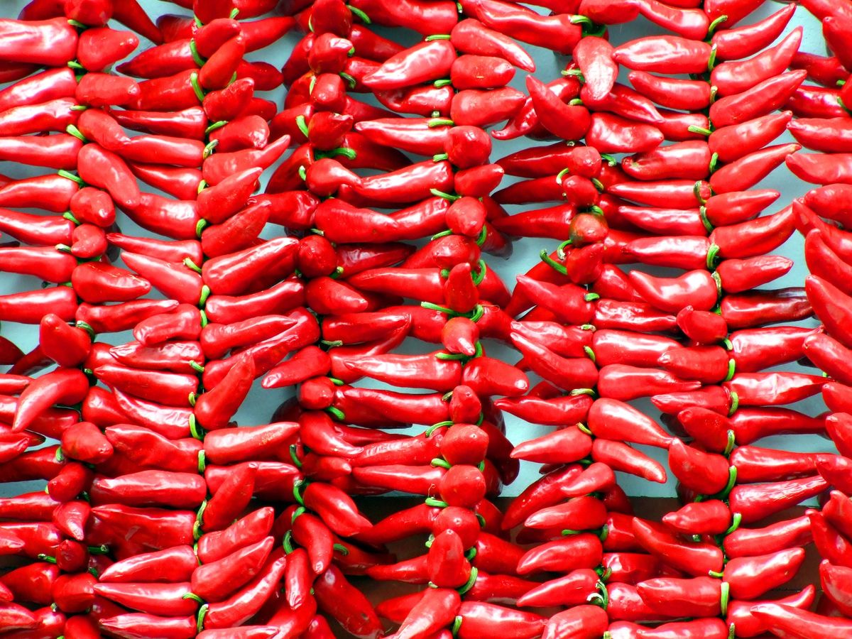 chili csili paprika csípős
