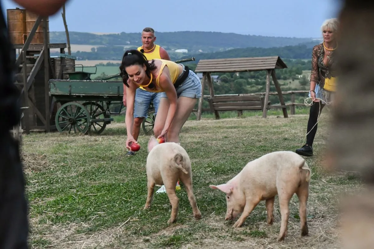 Ripli Zsuzsi Farm VIP