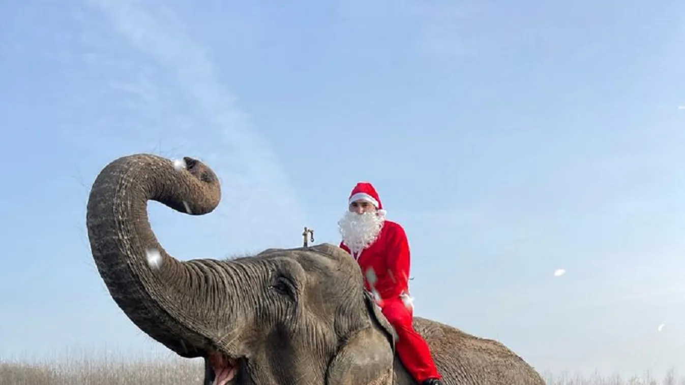 Karácsonyi Cirkuszi Forgatagra készül a Richter Safari Park
