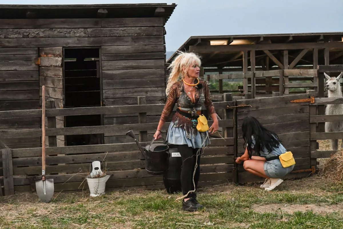 Bíró Ica Farm VIP