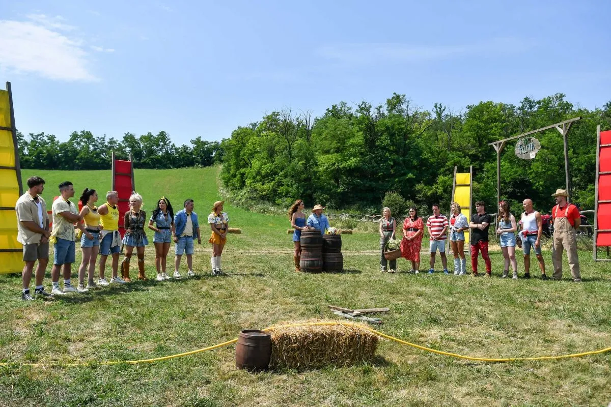 Farm VIP csapatok