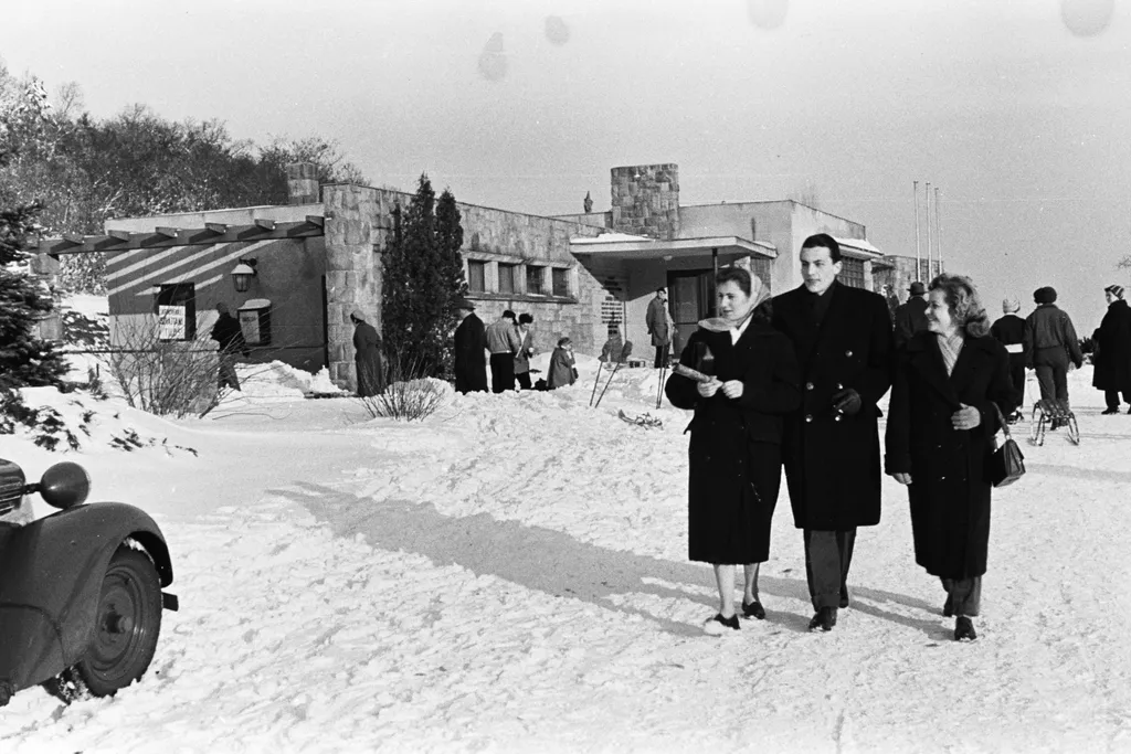 fortepan_176405 1955 gyermekvasút Ságvári liget állomás fotó Chuckyeager tumblr