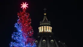 Csodás karácsonyfa és ember nagyságú Betlehem díszeleg a Vatikánban
