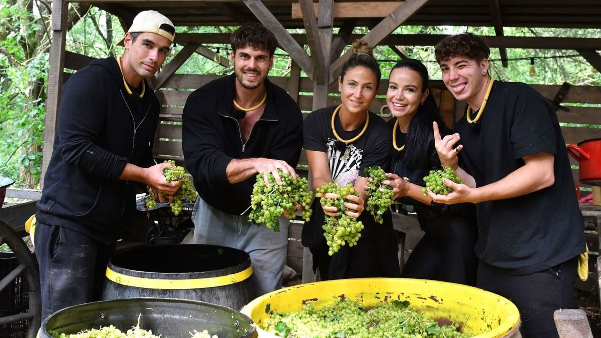 Mindenkit sokkolt! Azonnal távoznia kellett a Farm VIP egyik versenyzőjének