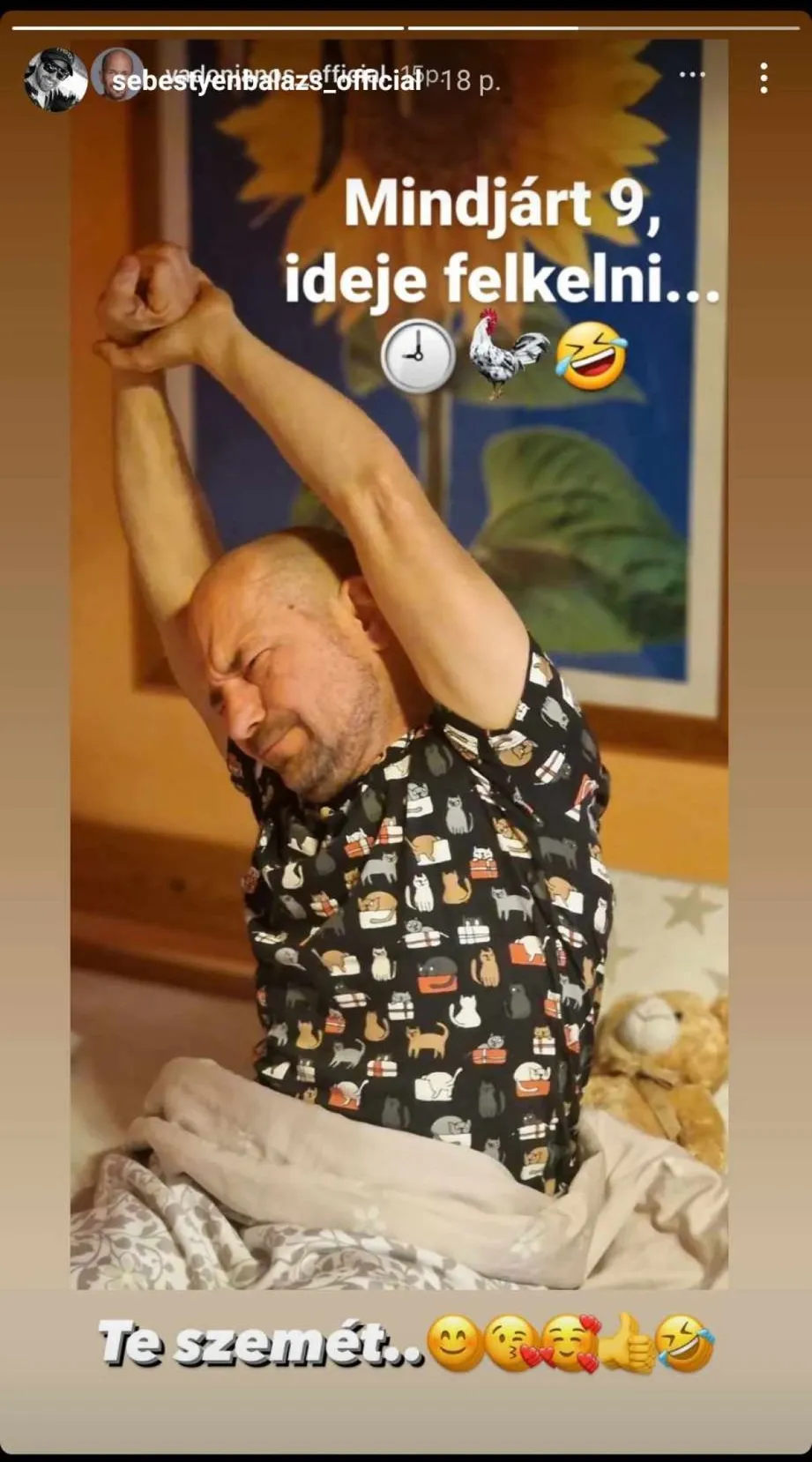Vadon Jani