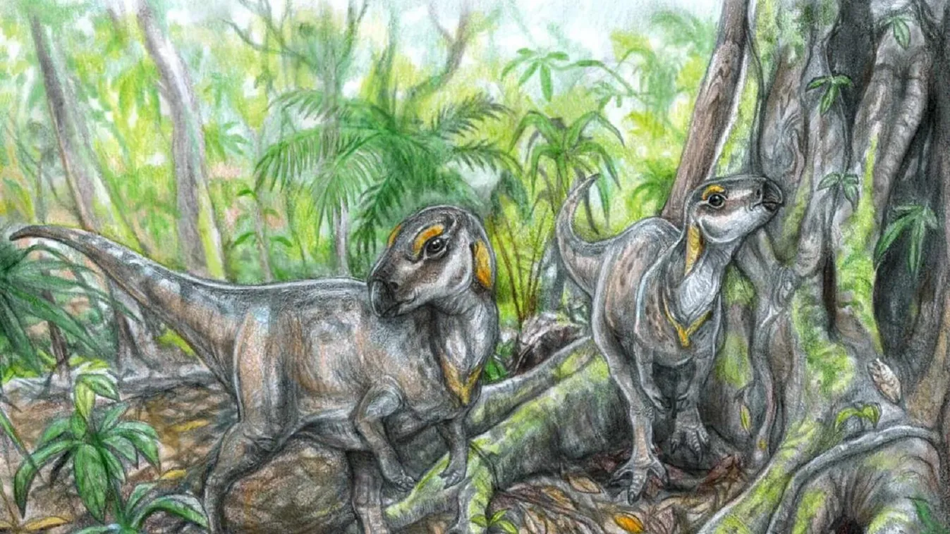 Újabb dinoszaurusz-csontvázakat találtak magyar kutatók Erdélyben