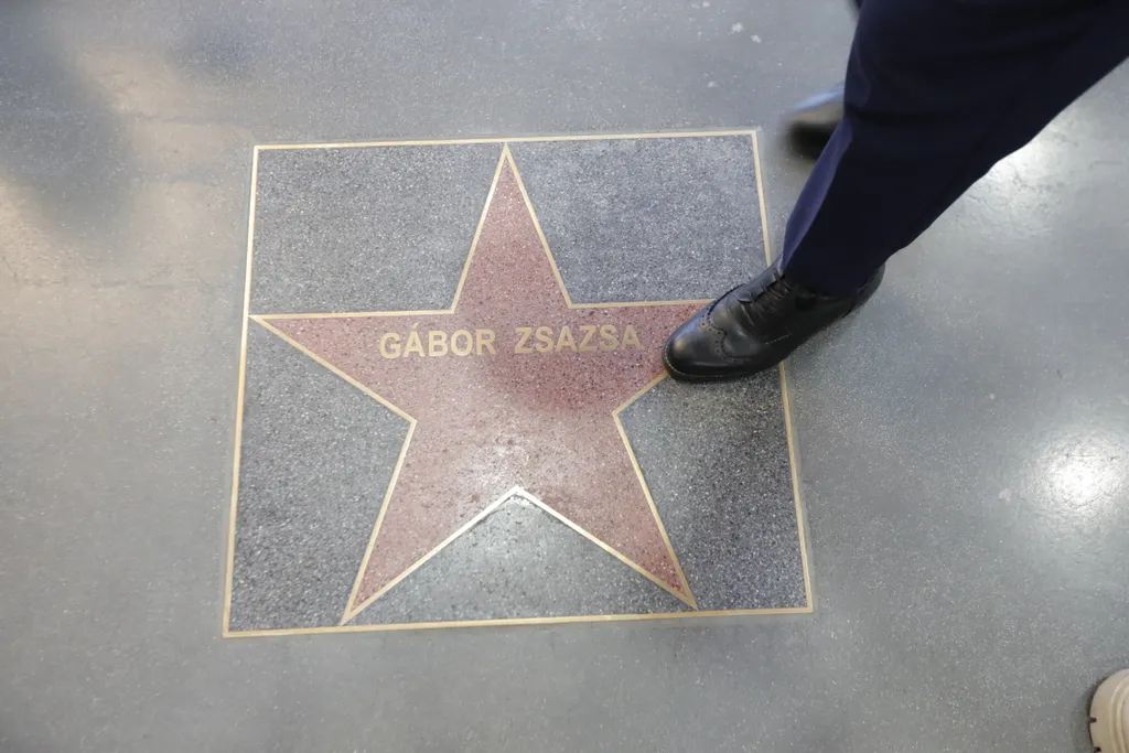 Gábor Zsazsa