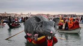 Velencében már áll a bál - Egy hatalmas patkány vezeti a vízi parádét