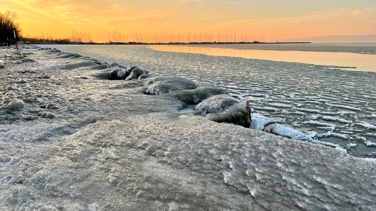 Sokkot kaptak a Balatonnál: ez a lény mászott elő a jég alól - Videó