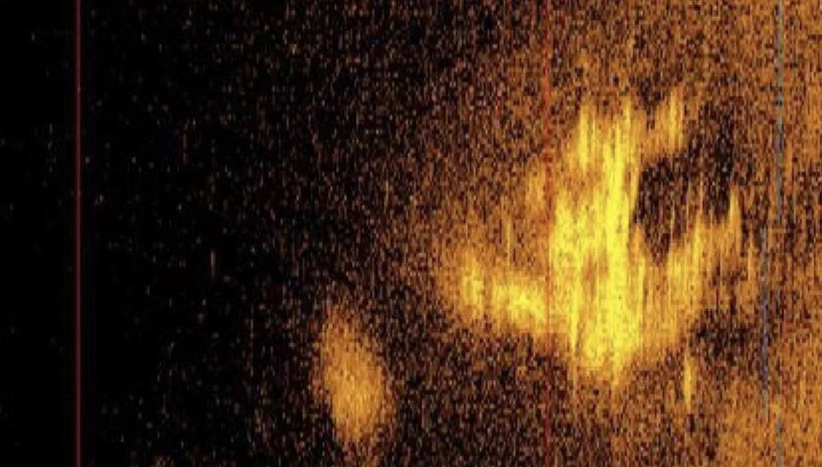 Deep sea explorer says may have found Amelia Earhart's plane
