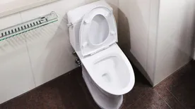 Nem vicc: megszólaltak a szakértők, így kell lehúzni a vécét