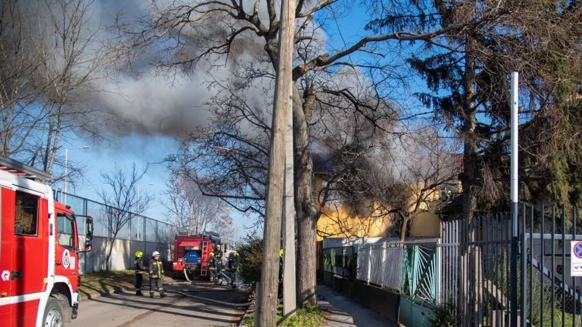 Válogatott focista segíti Curtis tragikusan elhunyt barátjának a családját