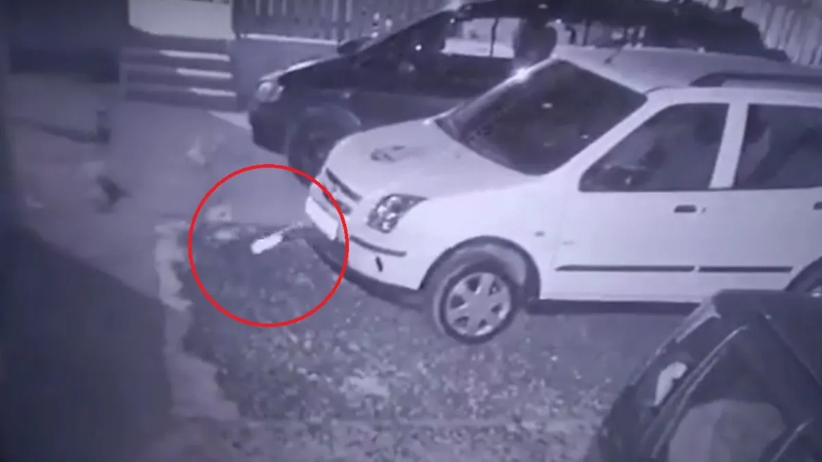 A csornai család egy különös fénycsíkot látott átúszni a kertjükön. Nemrég újra meglátogatta őket /