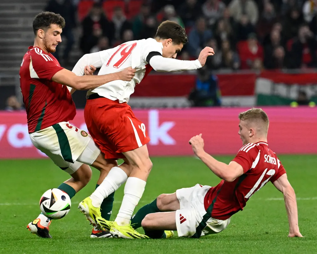 SCHÄFER András; BALOGH Botond