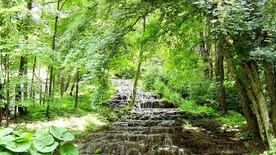 Videó: Ilyen a mesés Szalajka-völgy egy amerikai youtuber szemével