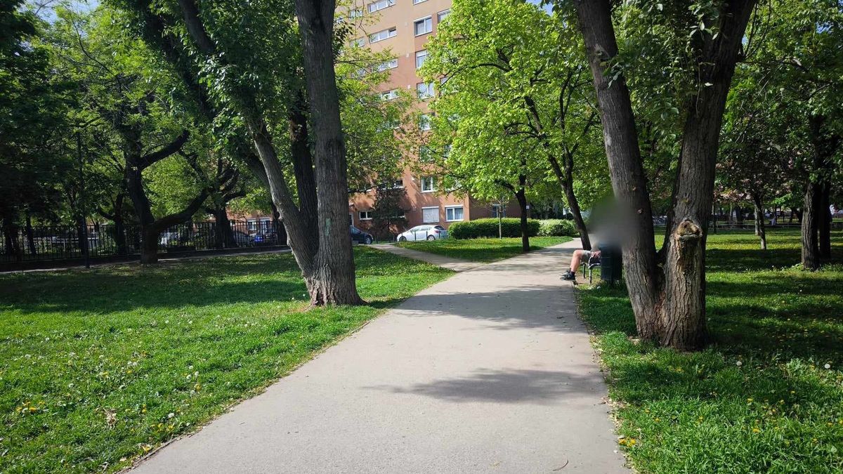 Sikolyoktól és ordibálástól volt hangos a budapesti park, rettegnek a lakók