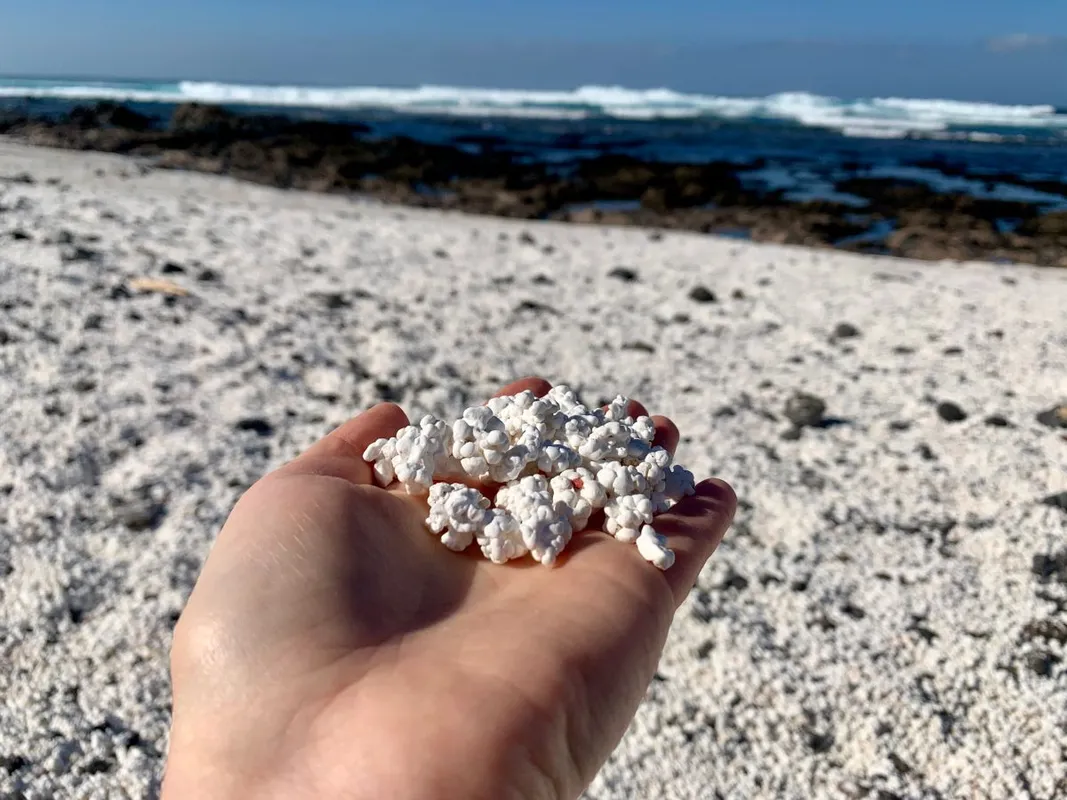 White,Rocks,On,The,Female,Palm,Close,Up.,White,Coral